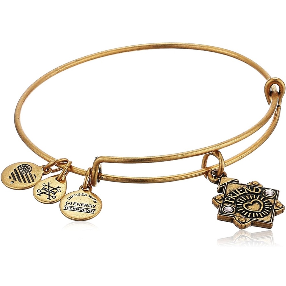 New Alex and Ani Because I Love You Friend III Bangle